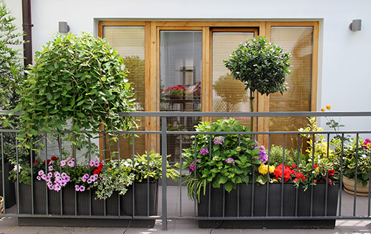 Condo balcony with potted plants